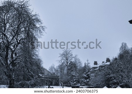 A beautiful photo of the trees covered in snow during the winter in Harrogate