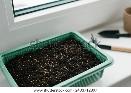 Selective focus on seeds in a green plastic stand for sowing peat moss seeds on the windowsill of the house Royalty-Free Stock Photo #2403712897