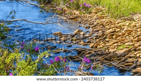 calm river near Serra dos Alves amidst rocks and flowers Royalty-Free Stock Photo #2403738127