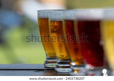 A row of small curved tulip shaped sample glasses of pale ale beer with froth on the top. The liquid alcohol has a vibrant yellow tint. The glasses are on a wooden table with circles. Royalty-Free Stock Photo #2403738207