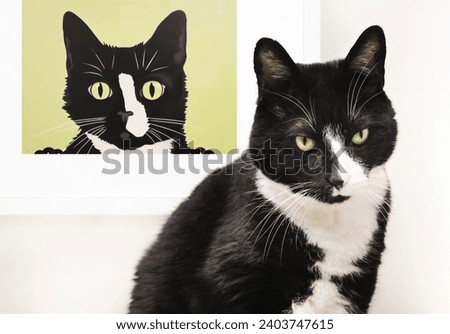 Tuxedo cat sitting in front of cat portrait painting in picture frame. Funny pet themed concept on selfies, for vanity or self-centered. 10 years old black and white male cat. Selective focus.