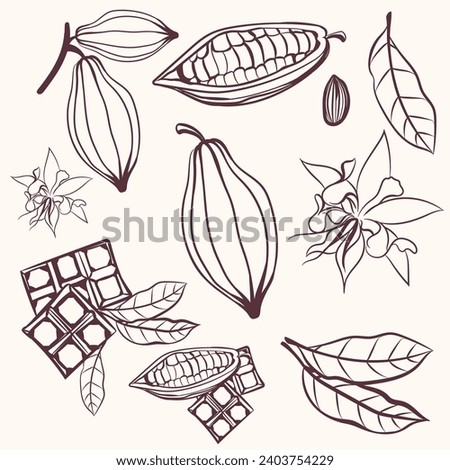 Set of vector hand drawn cacao fruits and chocolate, sketch style Royalty-Free Stock Photo #2403754229