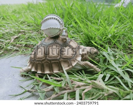 Sulcata child carrying a Tidar stone pendant Royalty-Free Stock Photo #2403759791