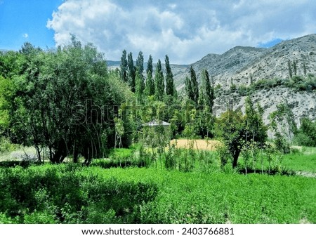 Beautiful picture of village with trees