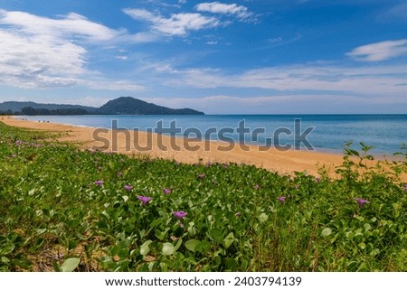 Beautiful sea summer landscape nature background