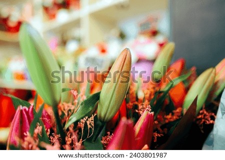 
Bouquet of Un-bloomed Lilies from a Flower Shop. Image in a floral boutique of a beautiful arrangements
