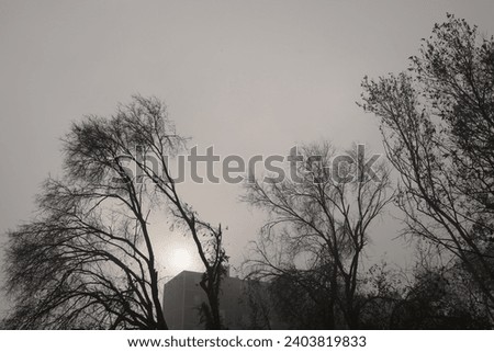 View of a glimpse of the outskirts of Milan on the first day of winter. Milan Gratosoglio district , Italy Royalty-Free Stock Photo #2403819833