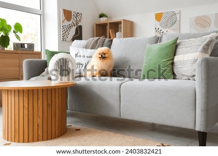 Cute Pomeranian spitz on sofa near electric fan heater at home