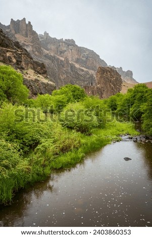 The Succor Creek at Succor Creek State Natural Area in Oregon Royalty-Free Stock Photo #2403860353