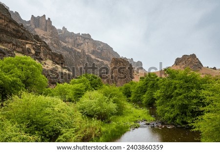 The Succor Creek at Succor Creek State Natural Area in Oregon Royalty-Free Stock Photo #2403860359