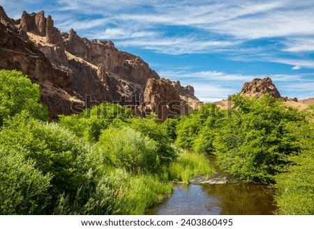 The Succor Creek at Succor Creek State Natural Area in Oregon Royalty-Free Stock Photo #2403860495