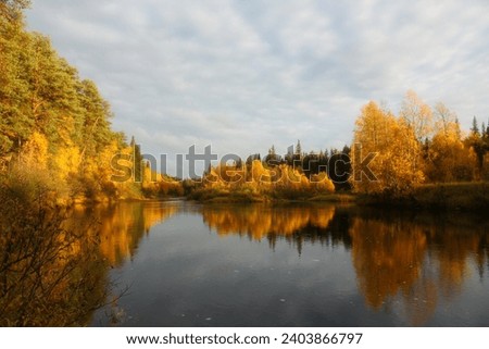 Autumn landscape. Colorful riverside picture from Finland. Along the hiking trail Karhunkierros Kuusamo.