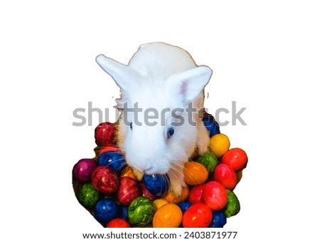 Rabbit on Easter Eggs white Background