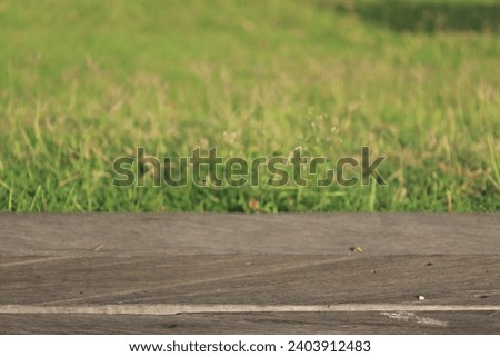 Wooden table top on blurred summer green background with bokeh. Copy space for your display or montage product design.