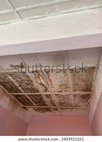 damped cement board ceiling with mold and watermark due to broken roof