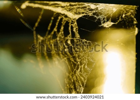 A close up of a spider web on a window