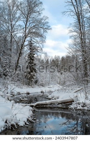 Beautiful landscape - Blue Springs of Saula (Estonian - Siniallikad) on a cloudy winter day. Trees are covered with a snow. Winter wonderland. Saula, Estonia. Selective focus.
