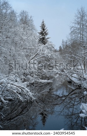 Beautiful landscape - Blue Springs of Saula (Estonian - Siniallikad) on a cloudy winter day. Trees are covered with a snow. Winter wonderland. Saula, Estonia. Selective focus.