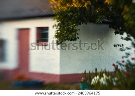 A village courtyard in summer, a white barn, an apricot growing on the right, flowers all around, the optical effect using a special lens creates a magical picture