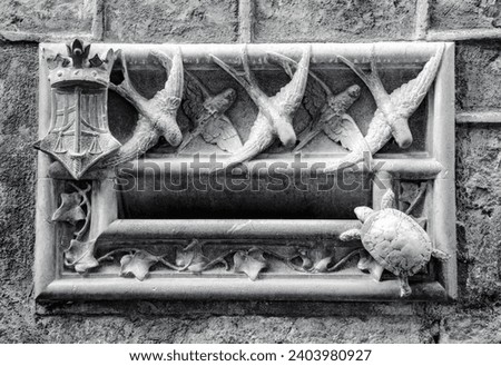 Stone mail slot in a building wall in Barcelona. Beautiful urban scenery photography with animal theme letterbox. Street scene. High quality picture for wallpaper, article