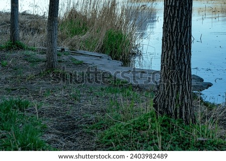 The road squares and forests on the riverbank Royalty-Free Stock Photo #2403982489