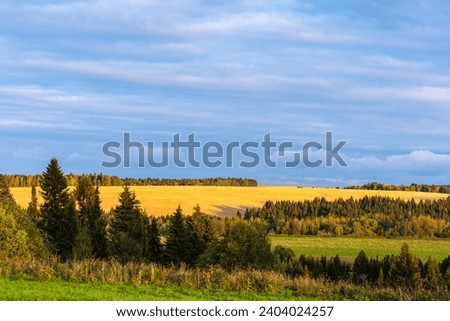 Beautiful autumn landscape with a yellow field and a green forest. Sunny day, blue cloudy sky. Natural desktop background.