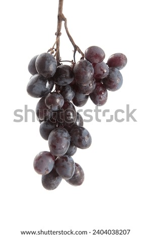 Big bunch of ripe dark blue grapes isolated on white background. Purple wine grapes with soft shadow isolated on white.
