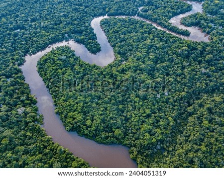 The Amazon River in the tropical rainforest	 Royalty-Free Stock Photo #2404051319