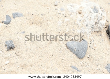 Big stone and small stones with dry plants and branches sandy beach landscape texture in Fuerteventura Costa Calma beach Canary Islands wallpaper background design