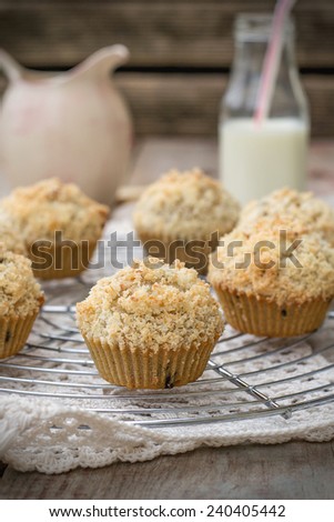 Chocolate chip muffins with coconut streusel on top. Vignetting, rustic style