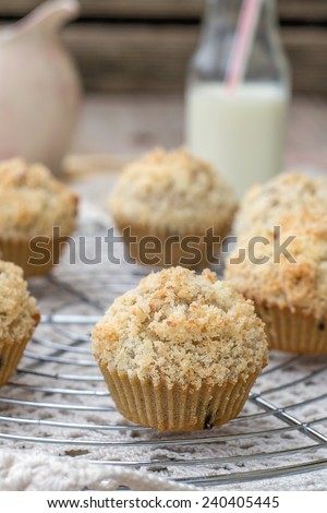 Chocolate chip muffins with coconut streusel on top. Vignetting, rustic style