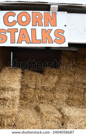 Corn stalks sign by hay bales