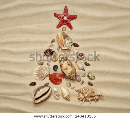 Christmas tree of shells on sand background.