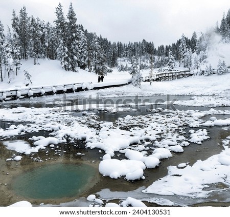 Mud Volcano in Winter in Yellowstone National Park, Wyoming Montana. Northwest. Yellowstone is a winter wonderland, to watch the wildlife and natural landscape. Geothermal    