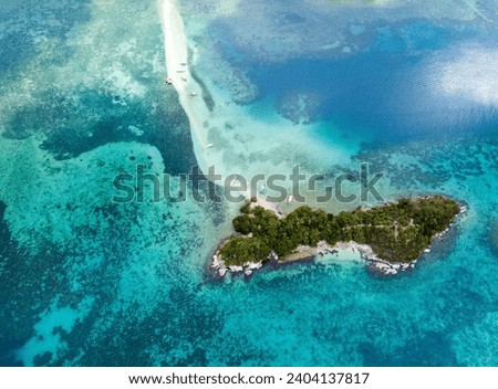 The snake island,which is also known as Ilha da Queimada Grande, is an island off the coast of Brazil. This island is full of venomous snakes. Royalty-Free Stock Photo #2404137817