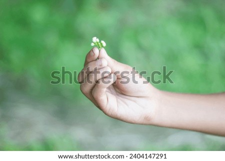 A man is holding a small flower with his hand and blurred background