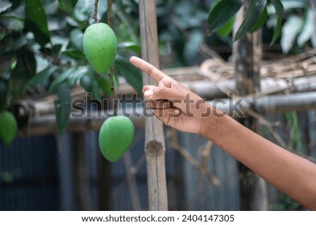 A man is showing a mango with his fingers blur background