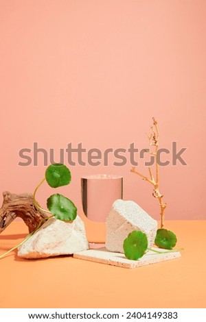Scene for a product commercial featuring gotu kola component - transparent podium, stone, dried twigs and fresh gotu kola leaves displayed on pink background. Space for display cosmetic product