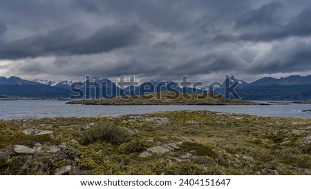 The landscape of southern Patagonia. On the islets in the Beagle Channel, sparse low-growing vegetation grows on rocky soil. The snow-capped mountain range of the Andes Martial against a cloudy sky.
