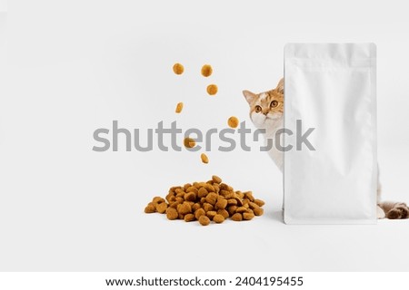 Pet food. Hungry cat with food pouch and flying food isolated on white background. Royalty-Free Stock Photo #2404195455