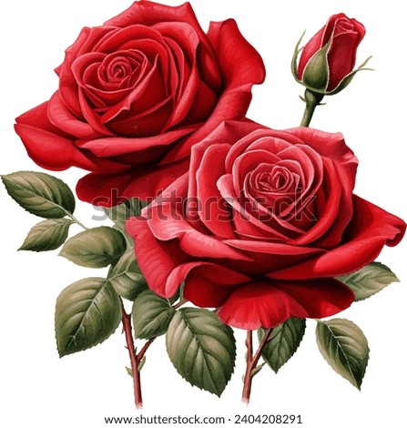 Bouquet of rose, watercolor red rose flower