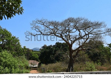 Hills Trees stock images in HD and millions of other royalty-free stock photos, 3D objects, illustrations and vectors in the Shutterstock collection.