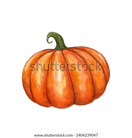 A watercolor pumpkin, a hand-painted squash, a delicious vegetable illustration 