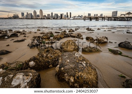 San Diego, California skyline seen from Coronado Island with beach and rocks at dusk