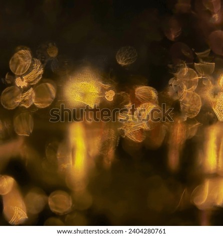 golden lights in the darkest night with raindrops on window.jpeg