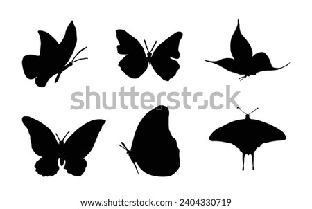 Butterfly collage isolated on white. Black and white butterfly 	