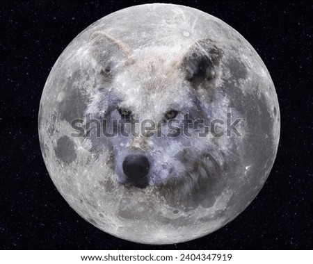 Composite of Moon with Wolf picture.  Wolf picture taken in Yellowstone National park