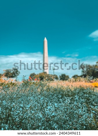 Photos of Washington Monument in D.C