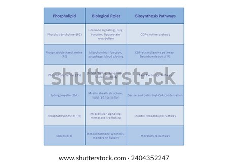 APOPTOSIS-SIGNAL-PATHWAY Stock Vector Images - Avopix.com