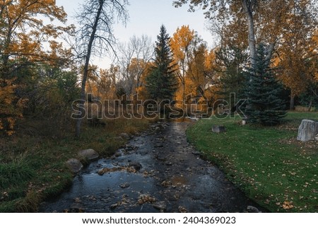 creek runs into the distance on a calm autumn morning  Royalty-Free Stock Photo #2404369023